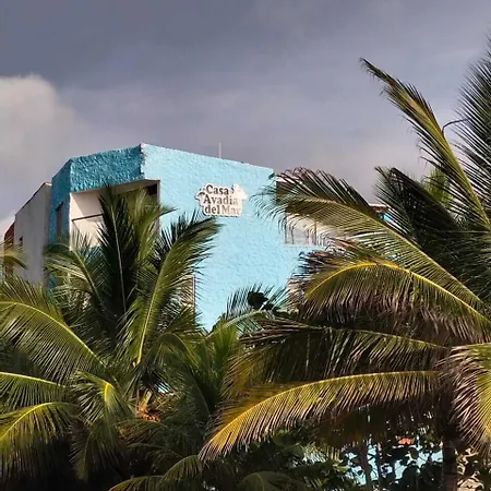 Aparthotel Avadia Del Mar Cartagena